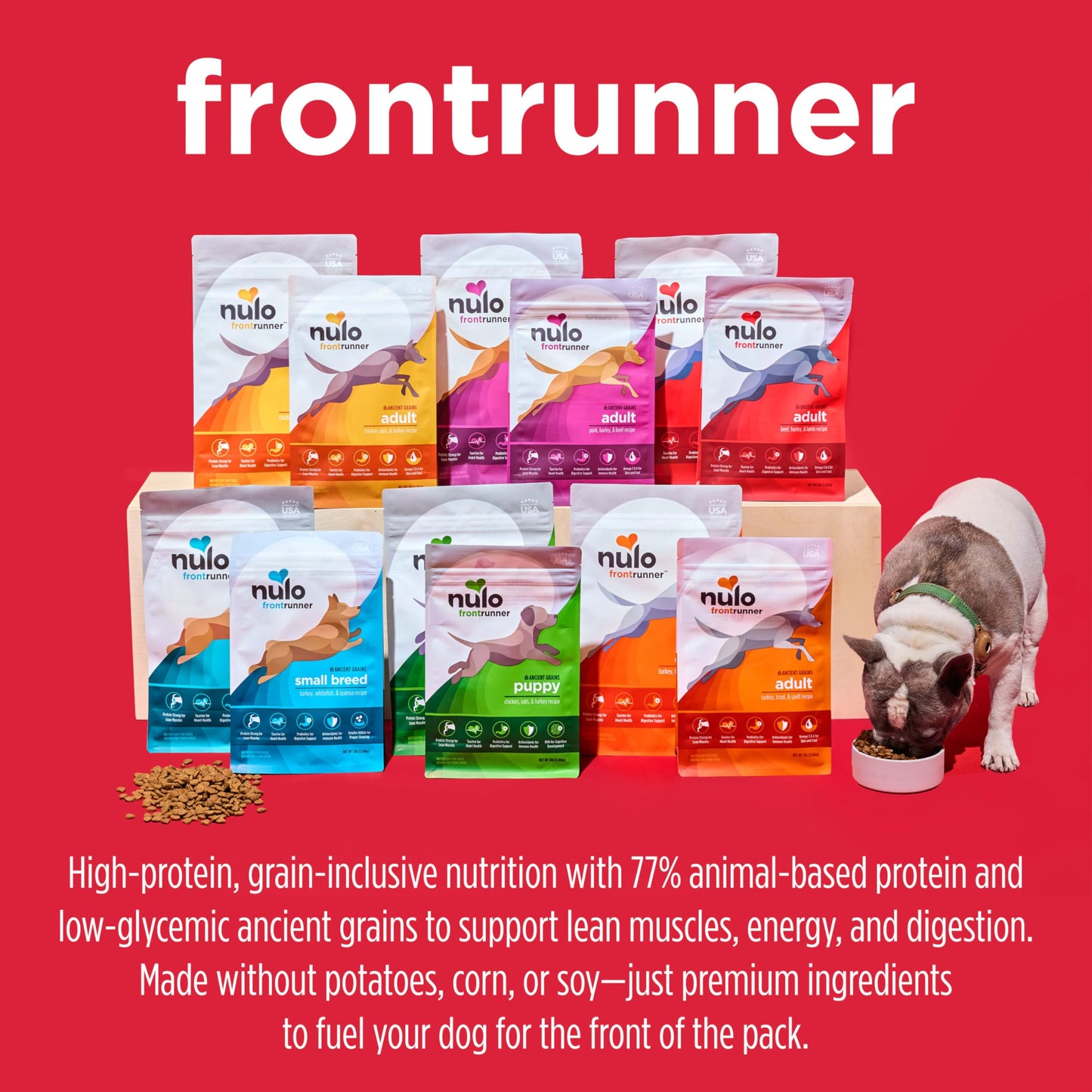 Nulo Frontrunner Ancient Grains High-Protein Small Breed Dog Food, Turkey, Whitefish, & Quinoa Recipe- Natural Dry Dog Food with Probiotics, Grain-Inclusive Kibble for Adults & Puppies, 5 lb Bag
