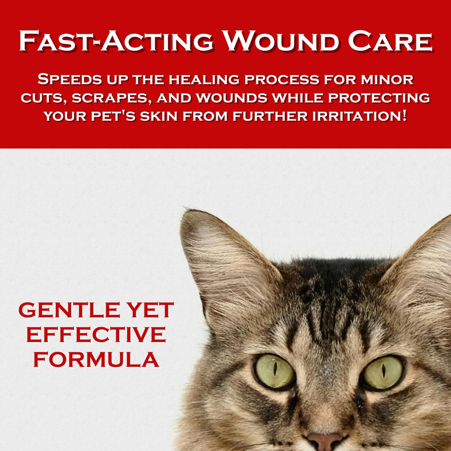 Show Out Skin & Wound Spray for Dogs & Cat - Remedy for Dog Hot Spot, Cleans and Repairs Skin, Wound Care, Relief for Hot Spots, Skin Allergies, Dry, Itching Skin (Makes 32 oz of Solution for Pet)