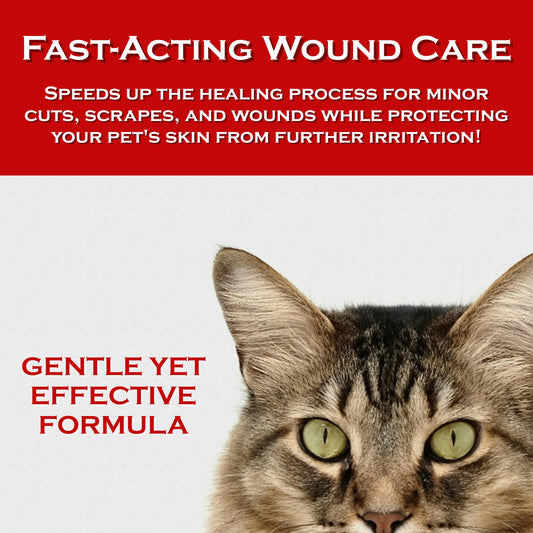Show Out Skin & Wounds Spray for Dogs & Cat - Remedy for Dog Hot Spot, Dry Skin, Rash, Skin Infection, Ringworm, Mange, Itchy Paws, Irritation on Skin, Skin Allergy, Wound Care (8 Ounces)
