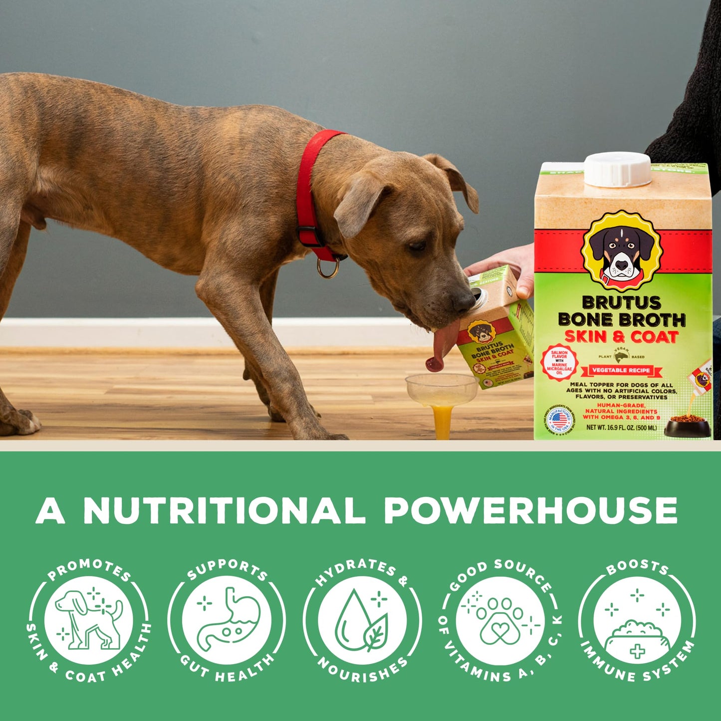 Brutus Vegetable Broth for Dogs 16.9 oz | All Natural | Made in USA | Omegas & Turmeric for Healthy Skin & Coat | Human Grade Ingredients | Hydrating Dog Food Topper, Gravy & Treat Salmon (Pack of 6)