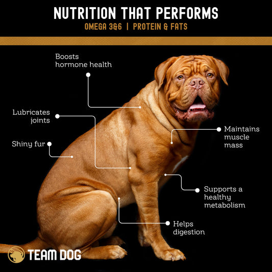 Team Dog Wild Alaskan Salmon Skin Treats for Dogs | Gluten Free, Grain Free, Single Ingredient | Freeze-Dried Raw Dog Treats Rich in Omega 3 | Promotes Healthy Skin & Coat | 4 Dog Chews per Bag