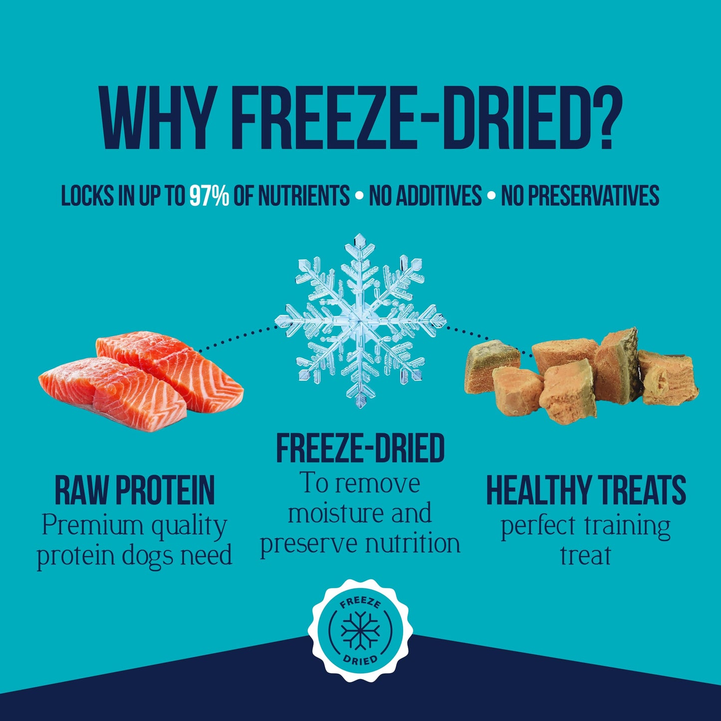 Stewart Single Ingredient Freeze Dried Raw Dog Treats, Wild Salmon, 2.75 Ounce, Approx. 55 Pieces per Resealable Pouch, Training Treats or Meal Topper, High Protein, Grain Free, Gluten Free