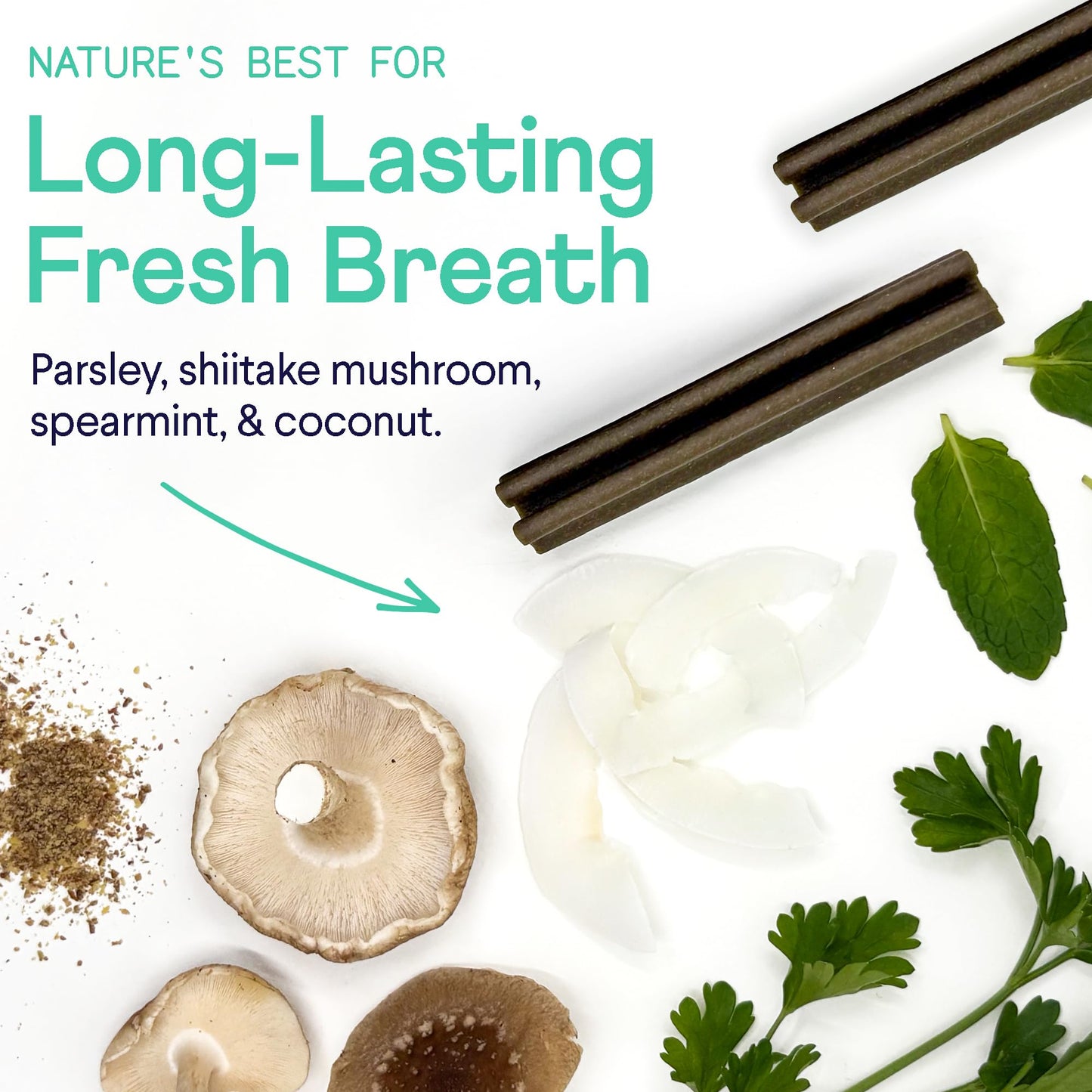 Finn Plaque Patrol Dental Chews | Triple-Action Defense Against Plaque, Tartar, and Bad Breath | for Medium/Large Dogs, 25+ lbs