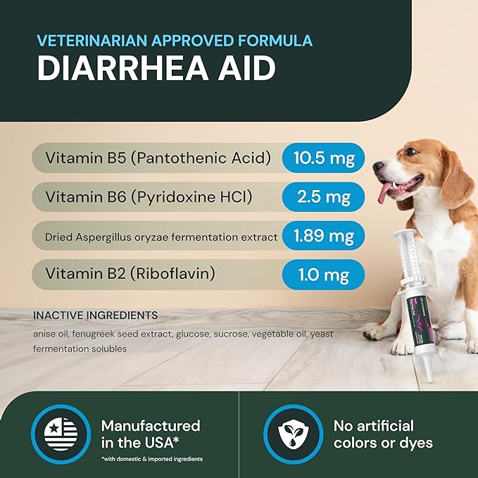 VetriScience Quick Action Diarrhea Aid Paste - Occasional Diarrhea Support for Pets - Probiotic Formula for Nervous Guts - Digestive Support Supplement - Unflavored - 60 cc