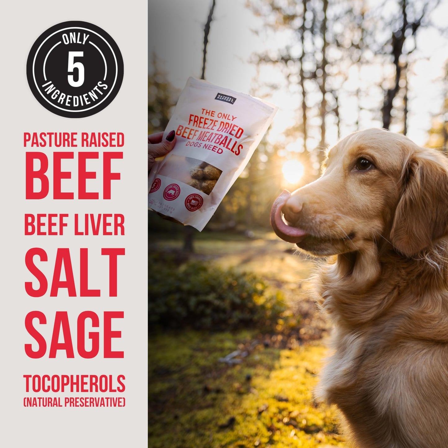 Natural Rapport Beef Meatball Dog Treats - The Only Beef Meatballs Dogs Need - All Natural Dog Treats for Small and Large Dogs (4 oz)