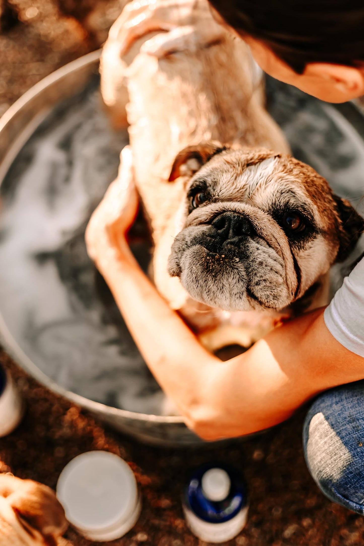 Pet Silk Tearless Puppy Shampoo 16oz, Specially Formulated Tear Free Shampoo for Sensitve Skin & Coat, Effective & Gentle, Fragrance & Dye Free for The at-Home Groomers!
