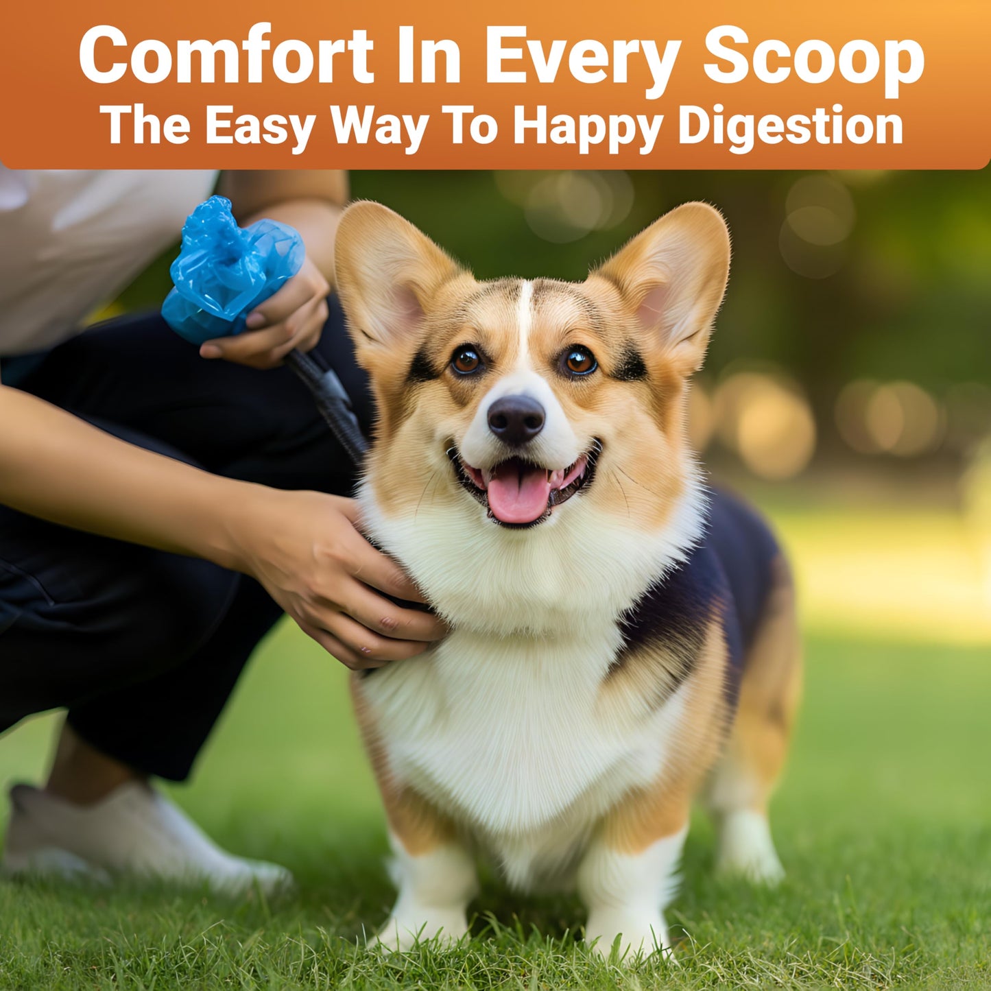 Pumpkin Powder for Dogs with Probiotics - Rich in Fiber, Helps with Digestion, Nutrient Absorption, Diarrhea, Constipation & Upset Stomach - Organic Dog Food Topper - Made in USA