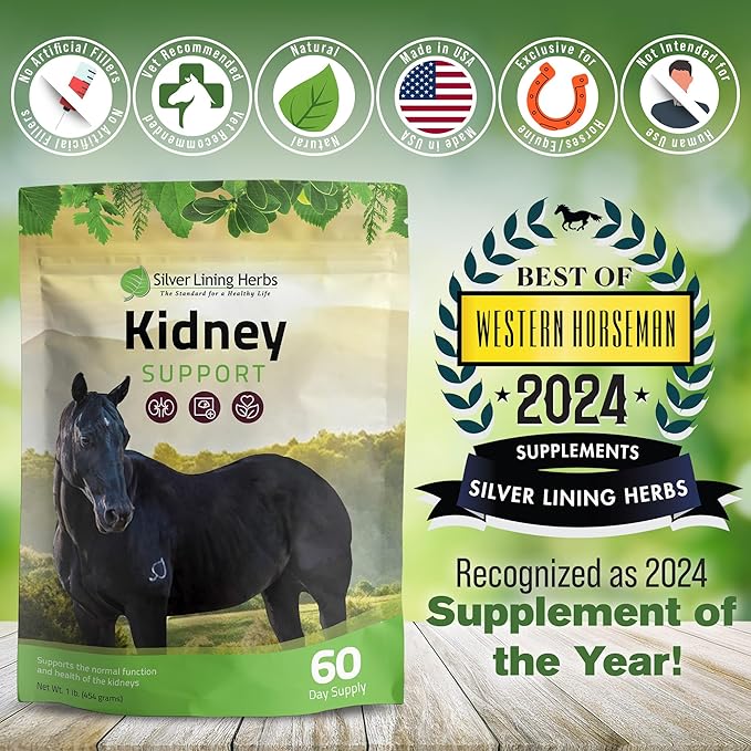 Silver Lining Herbs Kidney Support Supplement for Horses - Horse Supplements for Kidney Health and Bladder Support - Complete with Chamomile, Garlic, Juniper Berry, and More - 1 lb 60-Day Supply