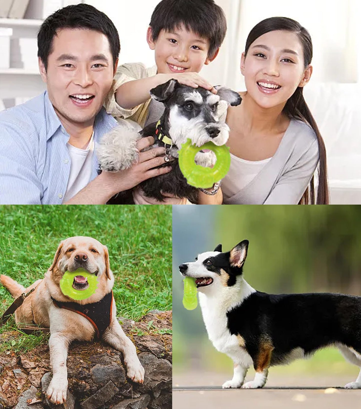 SPOFLY Puppy Chew Toys for Teething, Non-Toxic Durable, Interactive Teething Rings & Bouncing Ball - Boredom-Busting, Brain-Stimulating Puzzle Toy, Enrichment Treat Dispensing - Bright Green
