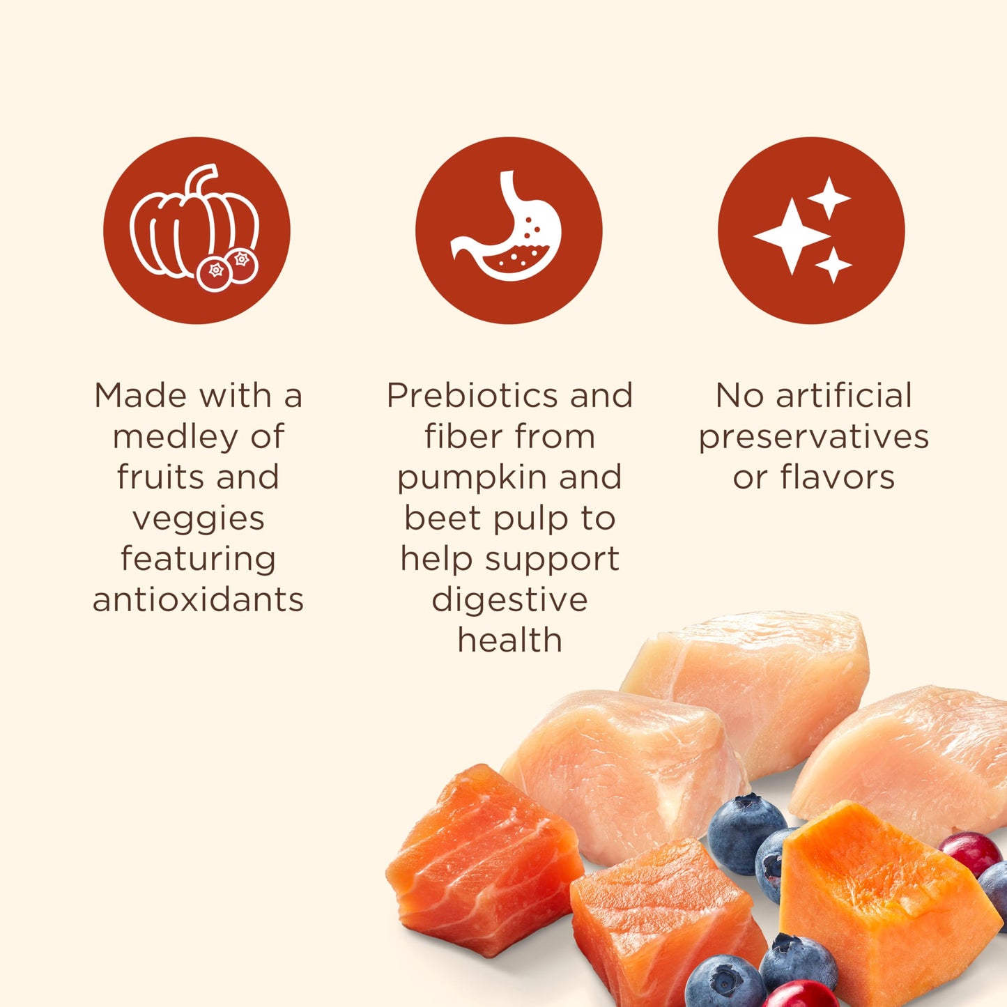 Nutrish Everyday Immune Support Chicken, Salmon, Blueberry & Pumpkin Recipe Dry Dog Food, 26 lb. Bag (Rachael Ray)