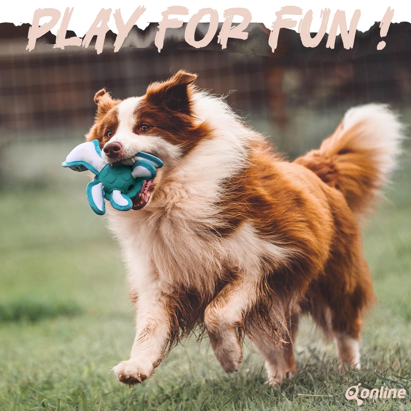 Qonline Dog Chew Toys,Puppy Teeth Chew Toys Durable Rubber Material Turtle Shape Dog Toys with 2 Tennis Ball (Green)