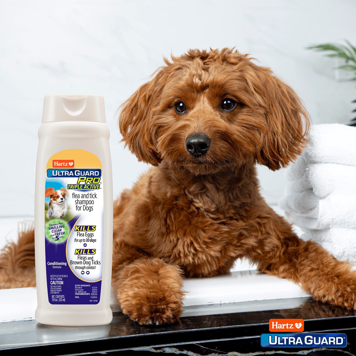 Vetnique Dermabliss Anti Itch Spray for Dogs & Cats with Hydrocortisone for Allergies and Immediate Dog Itching Skin Relief - Fragrance Free with Soothing Oat Extract (4oz)