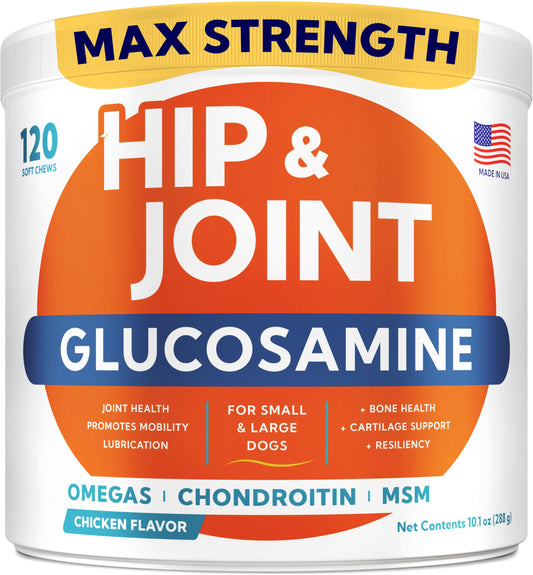 Glucosamine for Dogs Hip & Joint Supplement - Chondroitin, Omega-3, MSM - Joint Health & Pain Relief - Senior & Large Dogs - Made in USA - 120 Mobility Chews