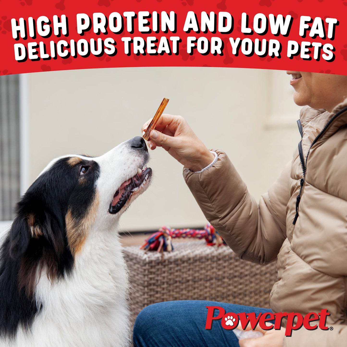 Powerpet 100% Natural Steer Stick (Bully Stick) - Odorless, High Protein, Low Fat, Healthy Dog Treats, Long-Lasting Chews, Highly Digestible, Cleans Teeth, Treats for All Breeds & Sizes, 4" - 20 Pack