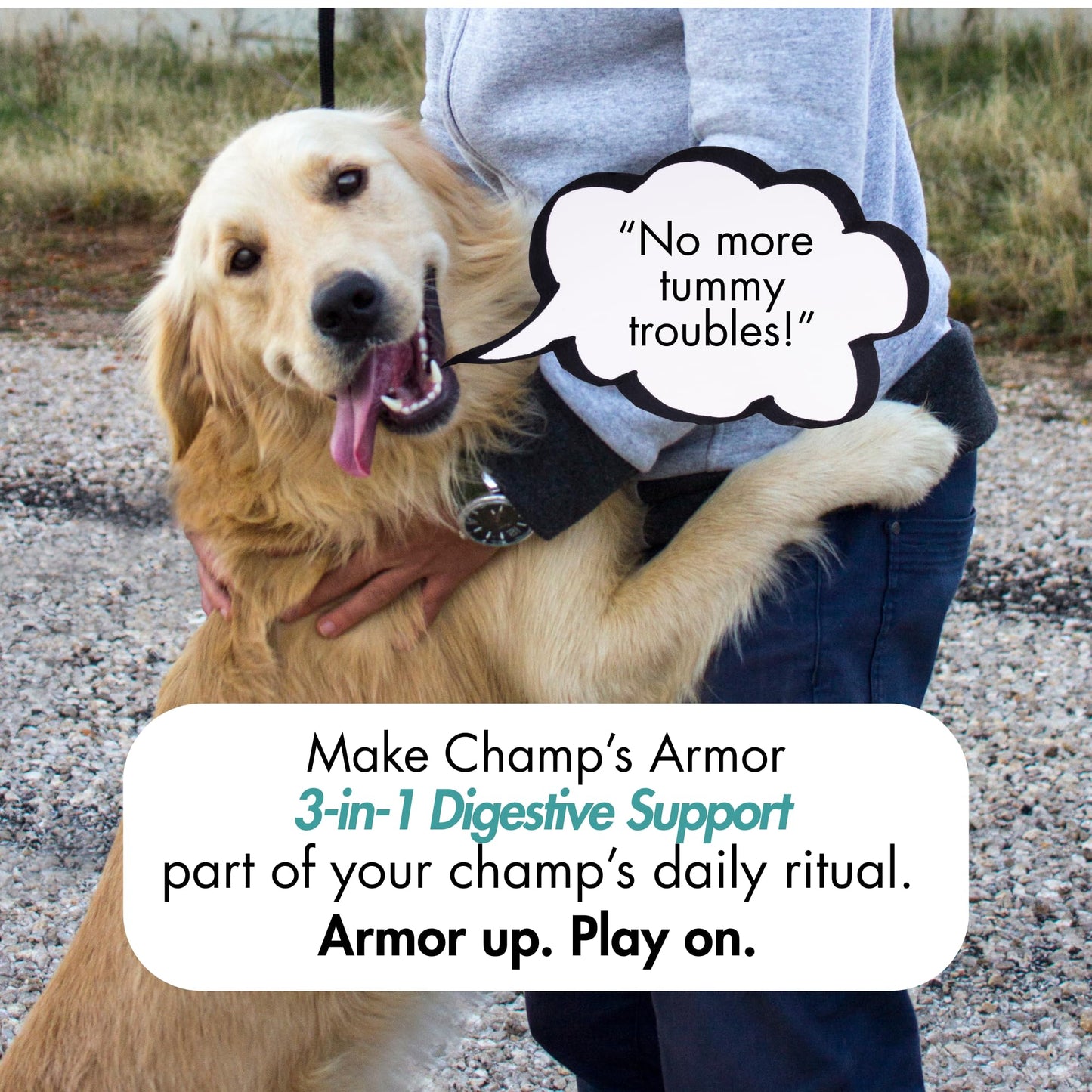 Chew No Poo - Coprophagia Treatment for Dogs - Prevent Dog Poop Eating - Natural Stool Eating Deterrent + Breath Aid - Probiotics & Digestive Enzymes - Boosts Gut Health - Made in USA - 120 Soft Chews
