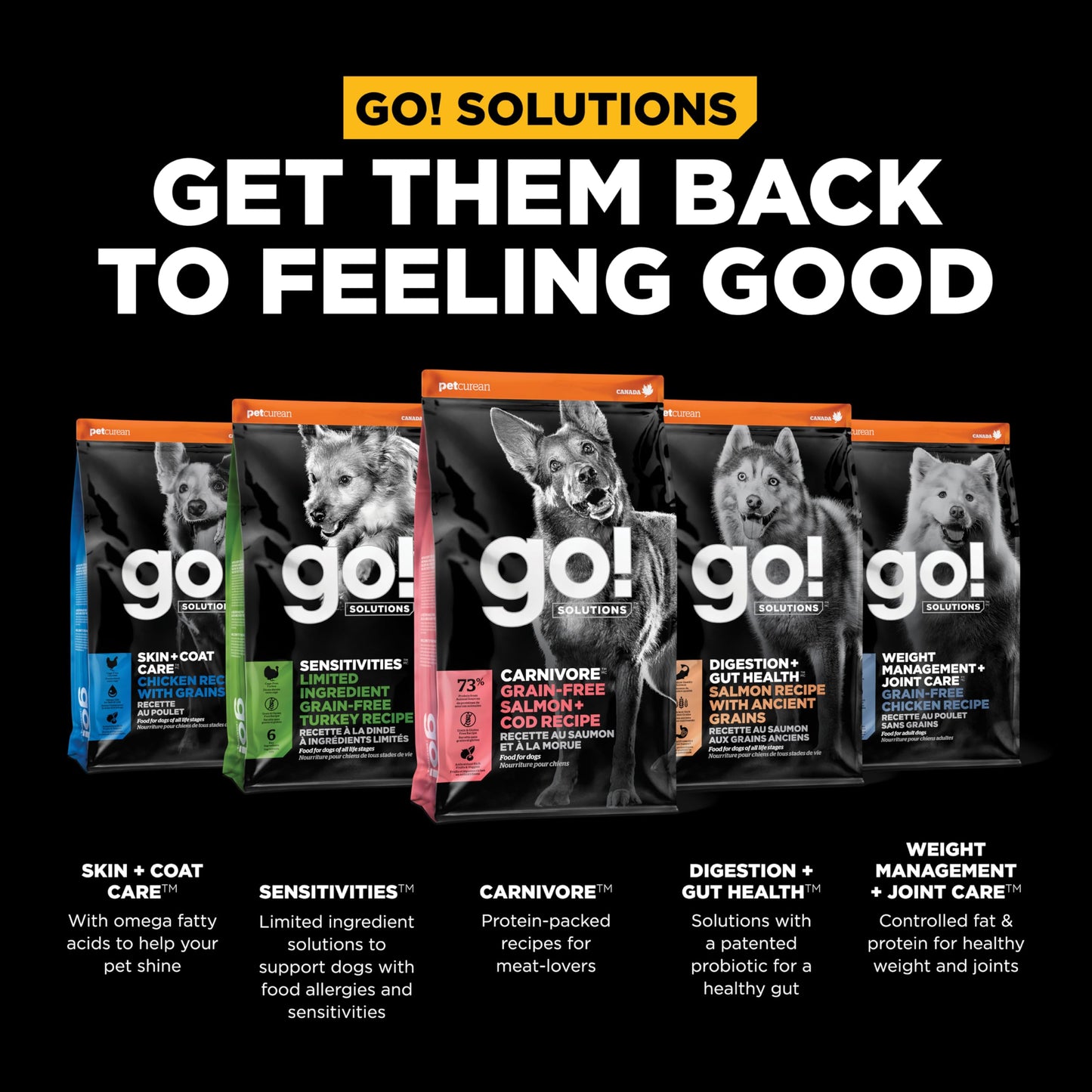 Go! Solutions Carnivore, Grain-Free, Protein Rich Dry Dog Food, Salmon and Cod Recipe, 3.5 lb Bag
