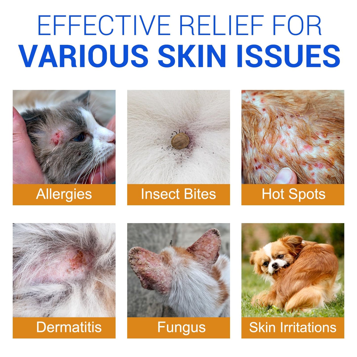 Hydrocortisone Spray for Dogs and Cats, Hot Spot Treatment & Itch Relief Spray for Dogs, Dog Hydrocortisone Sprays Soothes Irritated Dry Itchy Skin, Allergies & Dermatitis - Gentle and Safe, 120ml