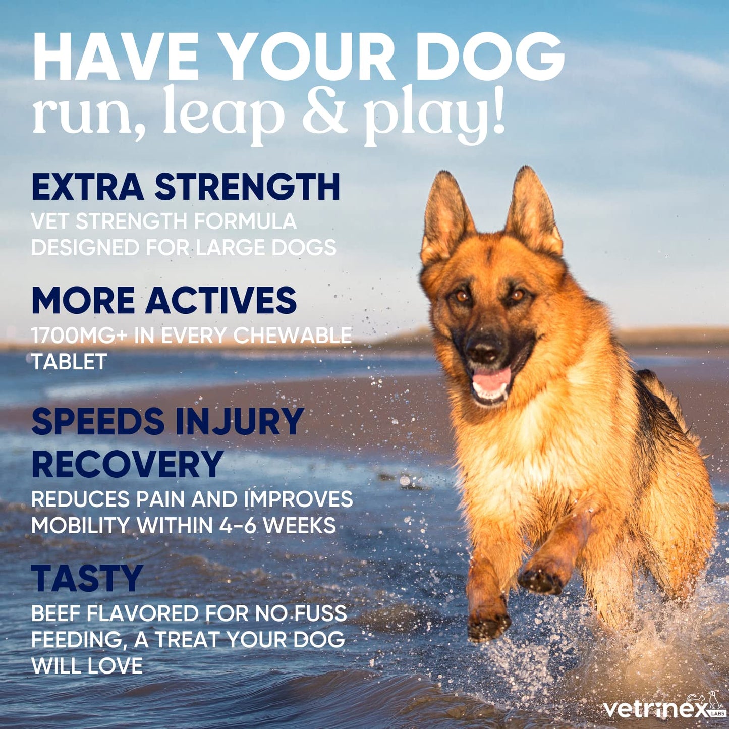 Vetrinex Labs Joint Support Supplement for Large Dogs - Hip and Joint Chewable Tablets for Small, Medium & Large Breed Dogs with Glucosamine, Chondroitin, and MSM, Beef Flavor, 120 Tablets