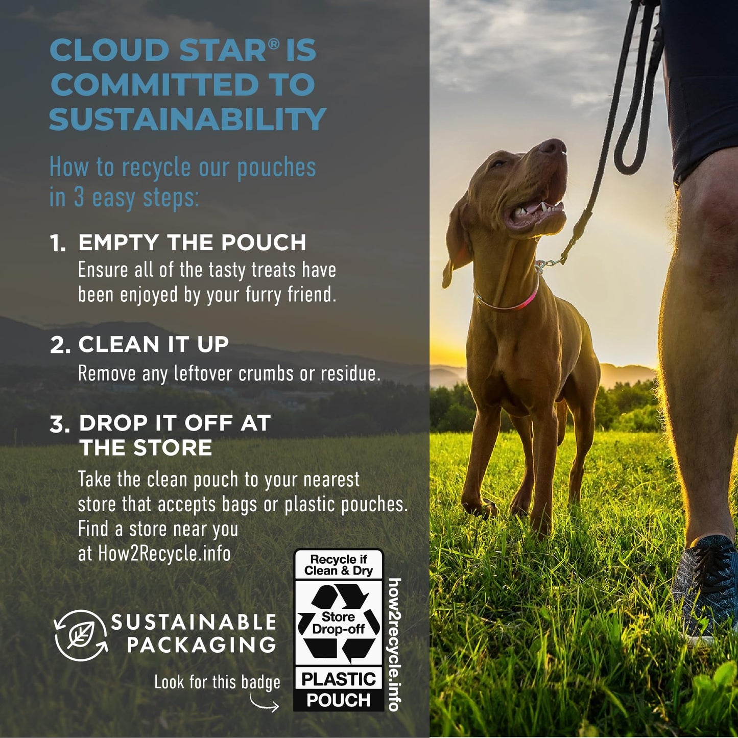 Cloud Star Tricky Trainers Soft & Chewy Dog Training Treats 14 oz. Bag, Salmon Flavor, Low Calorie Behavior Aid with 360 Treats