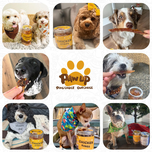 PAWUP Chicken Jerky Strips Dog Treats, Training Treats for Dogs w/Taurine, Low Fat, Natural Chicken Jerky Cuts, 12.5 oz