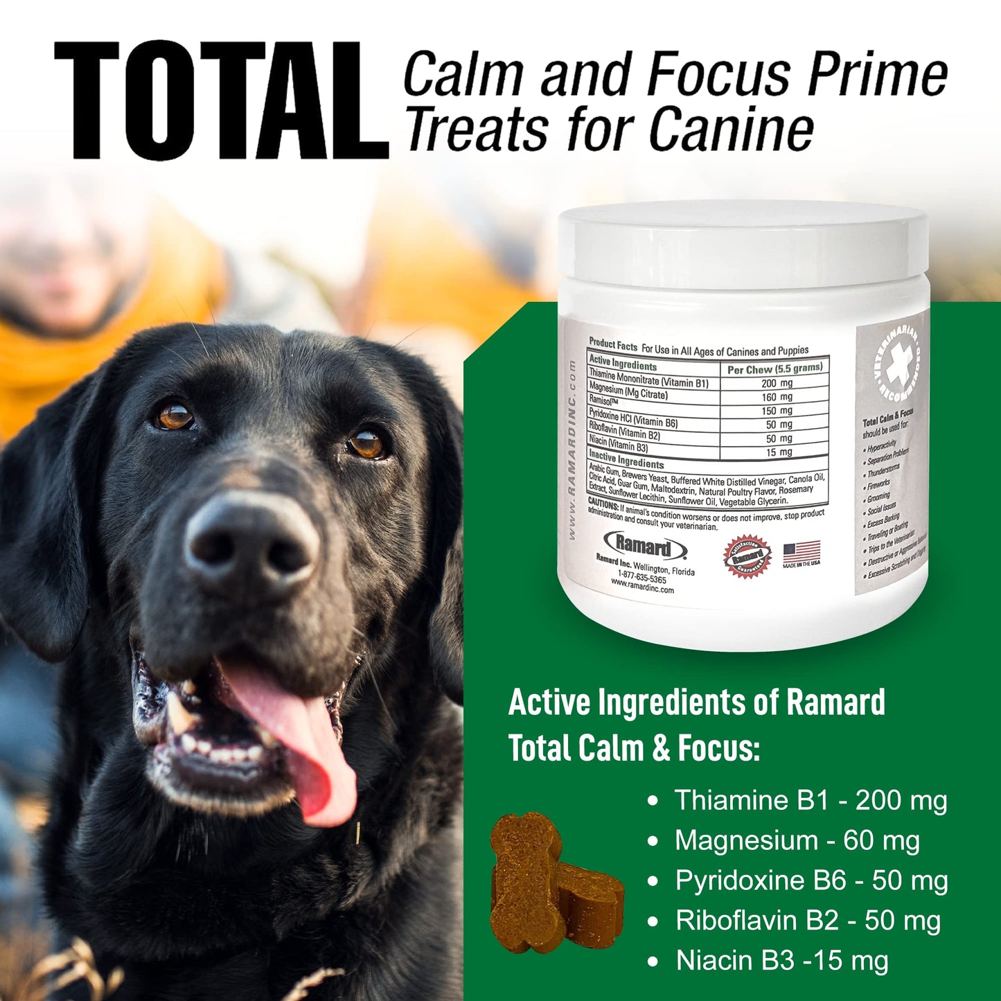 Ramard Total Calm & Focus Dog Treat Supplement - Natural Calming Chews with Magnesium & B-Vitamins - 45 Soft Chews for Canine Calmness During Training, Grooming, and Everyday Enjoyment