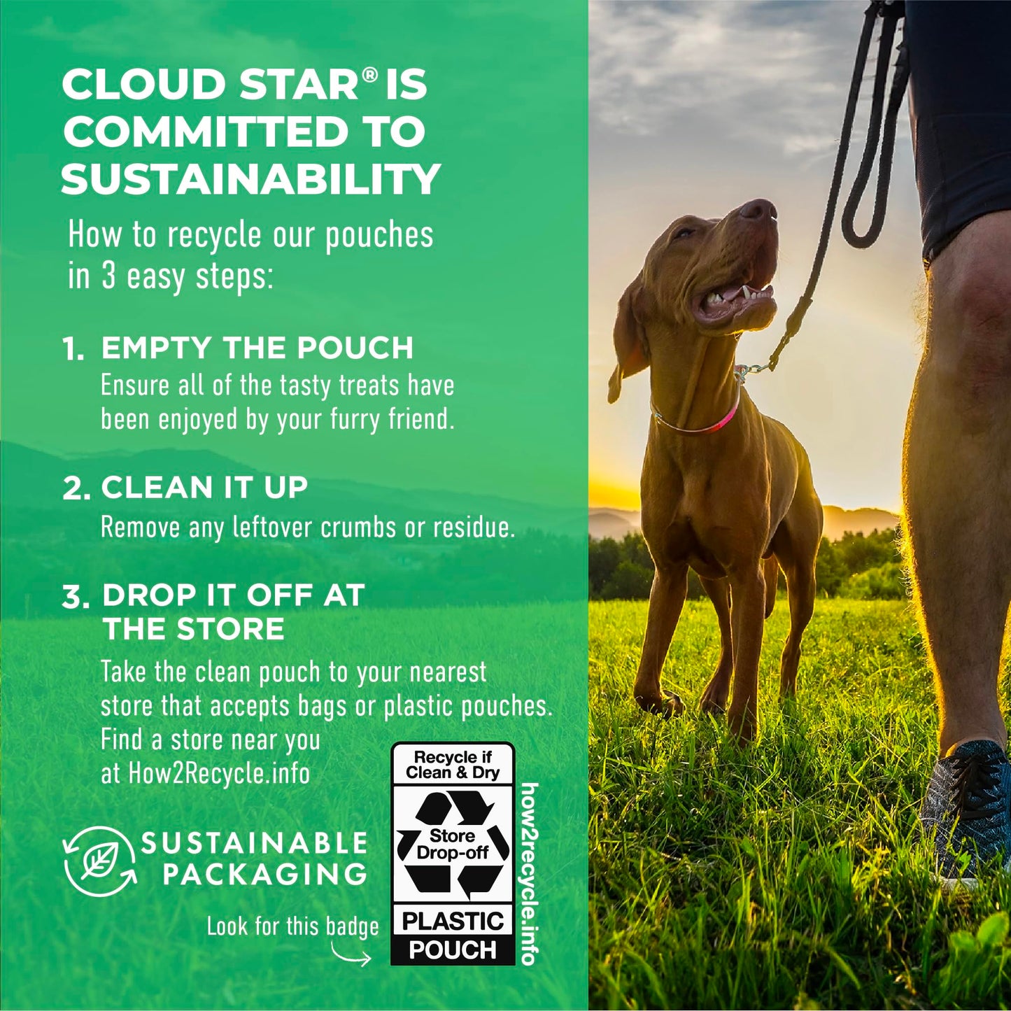 Cloud Star Dynamo Dog Hip & Joint Soft Chew Treats Chicken Formula - Grain Free - 14 oz (20132)