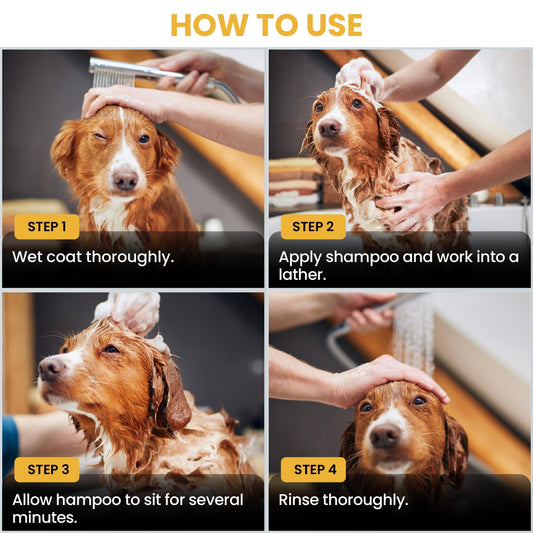We Love Doodles Puppy Shampoo & Conditioner and Pin Brush | Oatmeal Bathing | Sensitive & Itchy Skin Wash | Brush for Grooming Pet Hair | Brush for Shedding and Removing Loose Fur | Made in USA