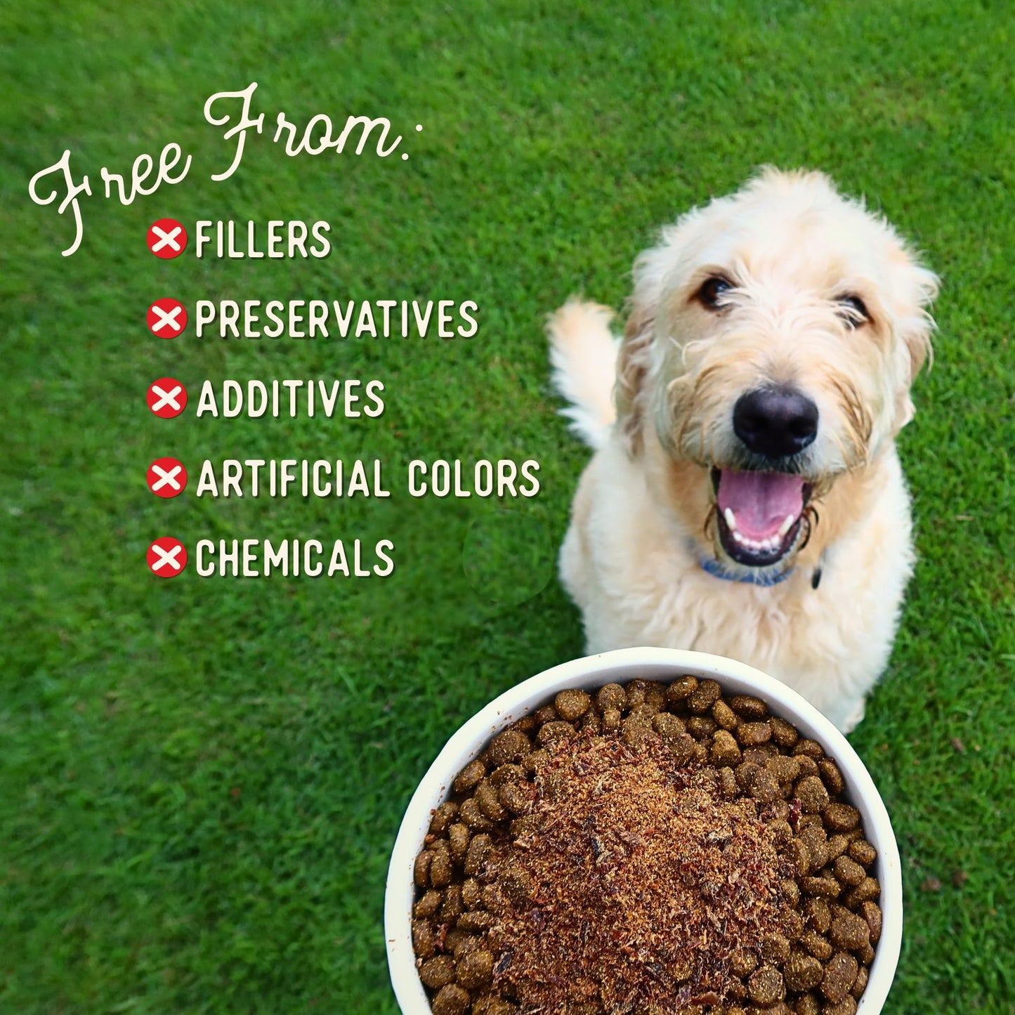 Beg & Barker Beef Dog Food Toppers (8 Ounce, Pack of 1) – 100% Made in USA Single Ingredient Meal Topper for Picky Eaters – Meal Enhancer with Whole Beef Heart – Meal Mixers for Dogs, Human Grade