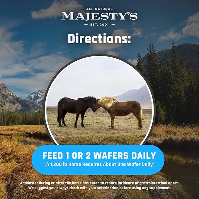 Majesty's Kalm+ Wafers - Superior Horse/Equine Calming Supplement (Peppermint, 2 Pack(120 Count Total))