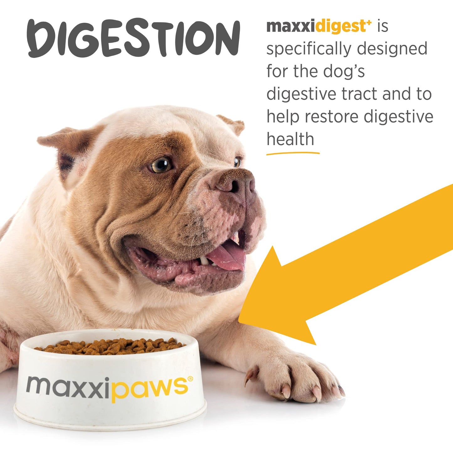maxxipaws maxxidigest+ Prebiotic & Probiotic for Dogs 13.2oz | Dog Probiotic Powder with Advanced Digestive Enzymes for Gut Health & Immunity | Supports Digestion, Food Sensitivities & Itchy Skin