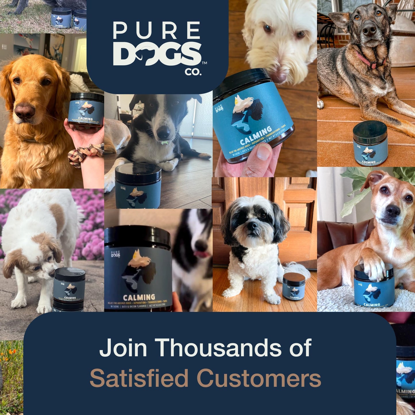 Pure Dogs Calming Chews for Anxiety & Stress Relief - Dog Treats with Organic Hemp & GABA - Soothe Scratching & Restlessness - 90 Calming Treats