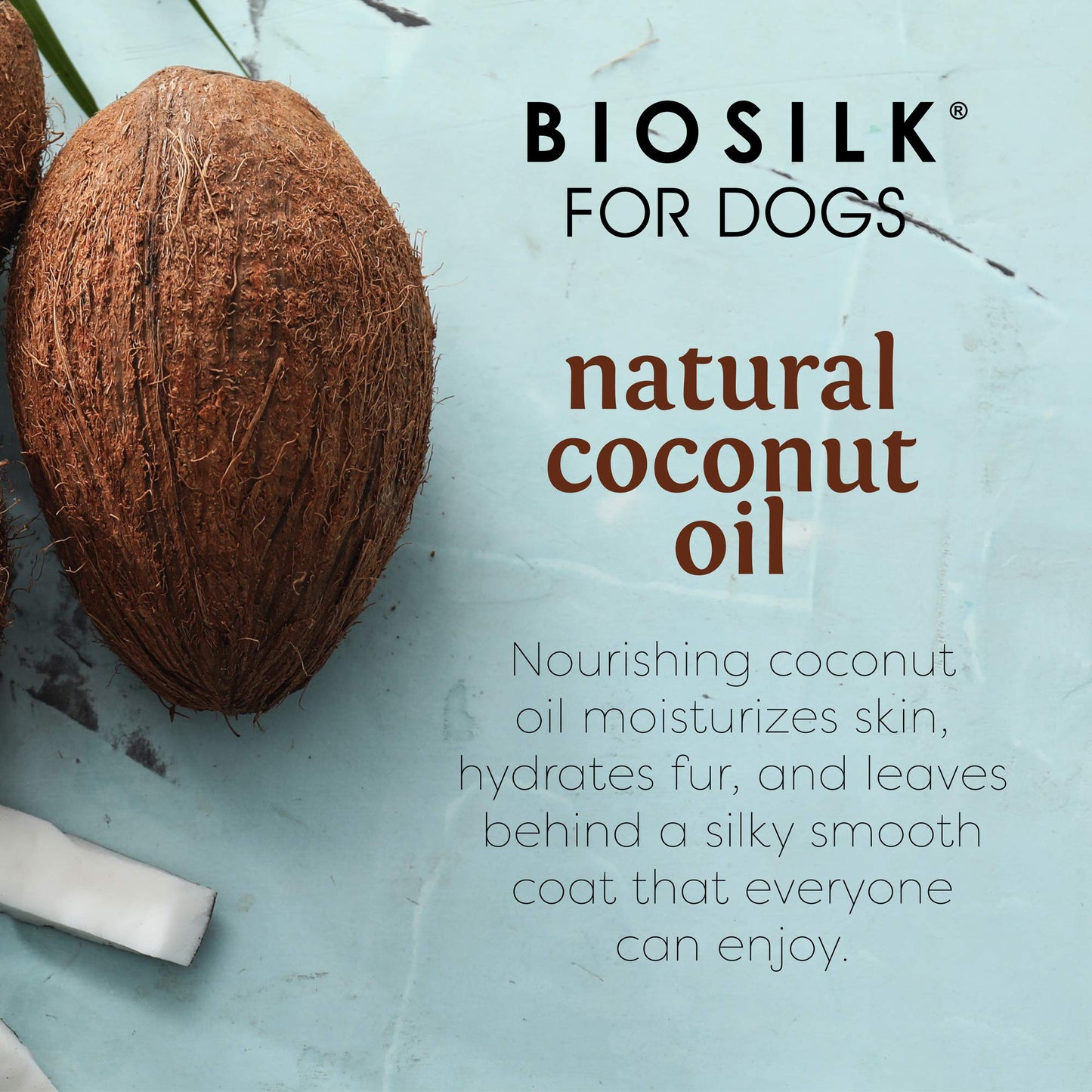 BioSilk for Dogs Silk Therapy Shampoo with Natural Coconut Oil Coconut Dog Shampoo, Sulfate and Paraben Free Natural Shampoo for Dogs, 12 Fl Oz Made in The USA (Pack of 1)