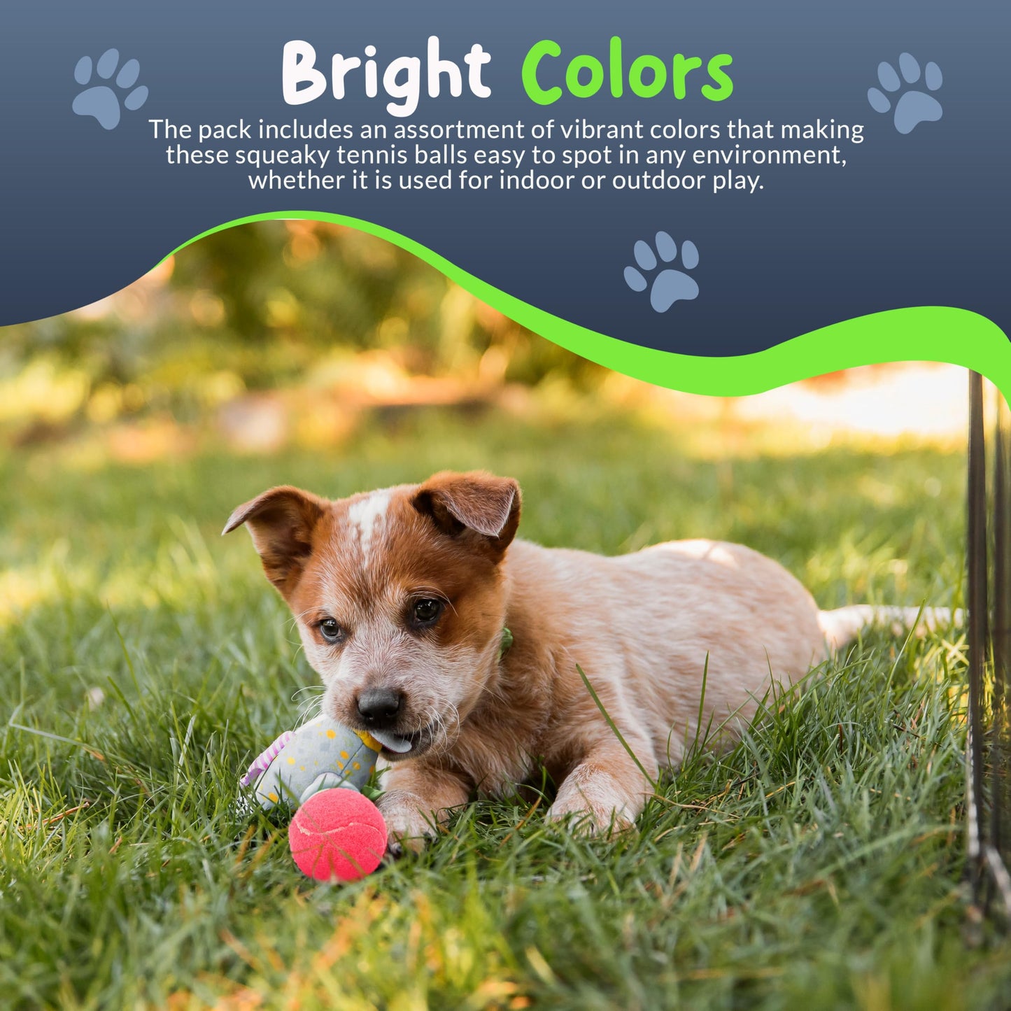 Mini Tennis Balls for Dogs 1.5 Inch - No Squeak Small Dog Balls for Small Breed and Puppies - Extra Small Interactive Fetch Toy for Dog Ball Launcher - 8 Pack