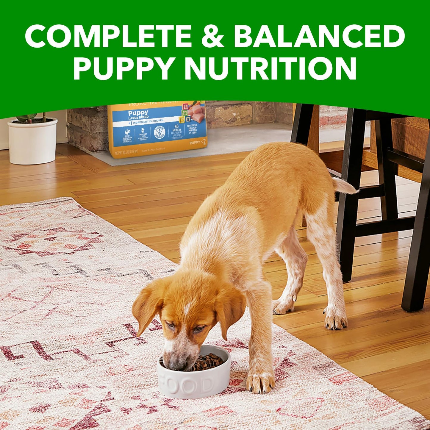 IAMS Proactive Health Large Breed Puppy Food with Real Chicken, 30.6 lb. Bag