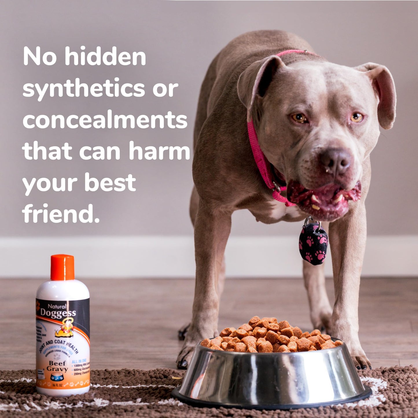 DOGGESS Dressing Best Hip and Joint Supplement for Dogs, Glucosamine & Chondroitin/Joint Health/Salmon Oil for Dogs Skin and Coat Health, Delicious Beef Gravy Flavor, 32 Oz