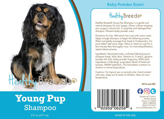 Healthy Breeds Cavalier King Charles Spaniel Young Pup Shampoo 8 oz