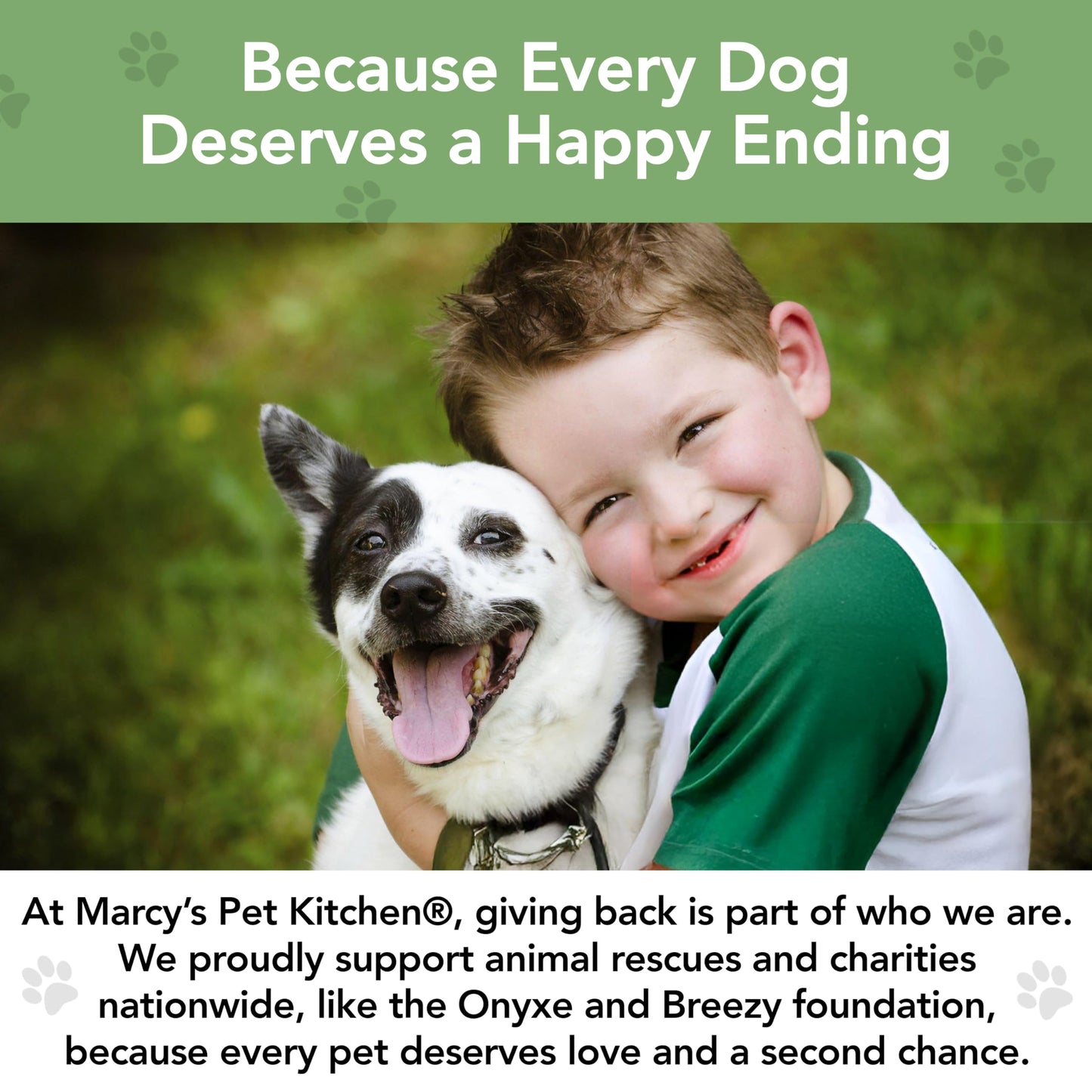 Marcy's Pet Kitchen-Diabetic Dog Treats-Vet Recommend-No Preservatives - Crunchy, Superfoods, All Natural-Vegan Homemade,-Gluten Free-for Sensitive Stomachs-Made in The USA Only.