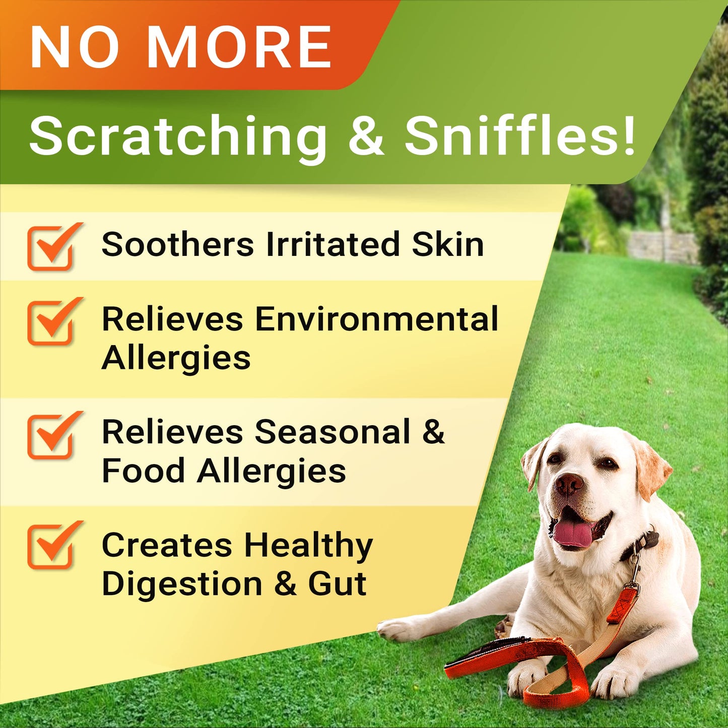 Allergy Relief + Glucosamine for Dogs Bundle - Dog Itchy Skin Treatment + Joint Pain Relief - Omega 3 + Chondroitin, MSM - Itchy Skin, Shedding, Hot Spots + Hip & Joint Care - 300ct - Made in USA