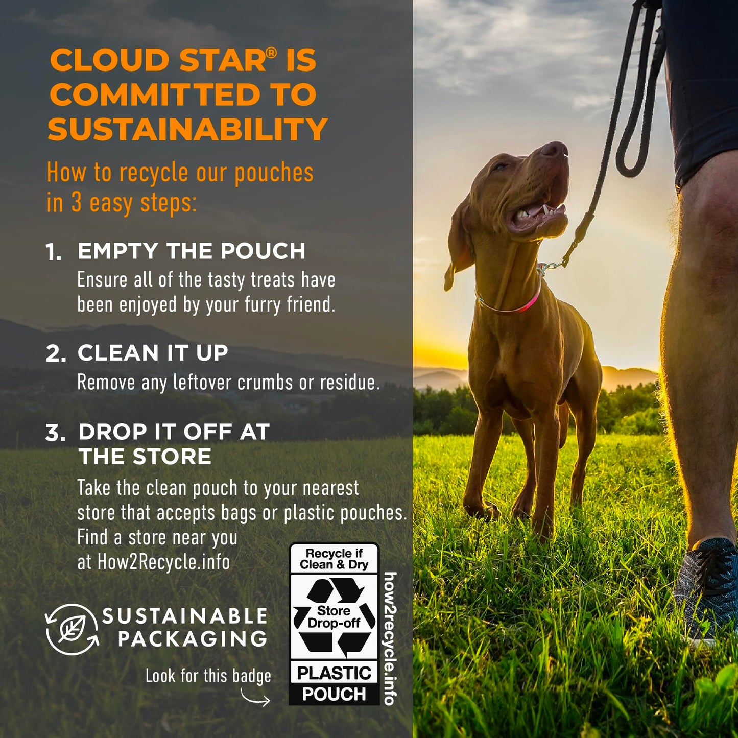 Cloud Star Wag More Bark Less Grain Free Meatball Bites, BBQ Chicken Recipe, 14 oz.