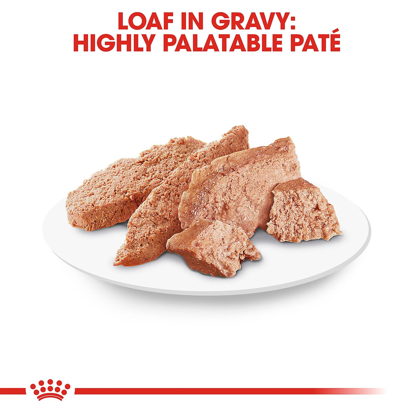 Royal Canin Breed Health Nutrition Pomeranian Adult Loaf in Sauce Dog Food, 3 oz (Pack of 24)