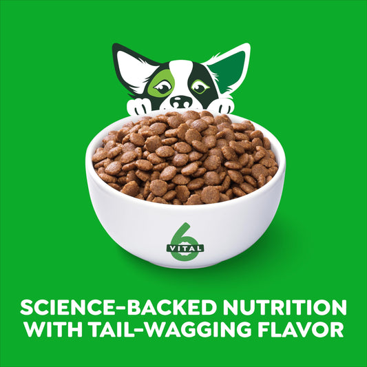 Open Farm Goodbowl, Oven-Baked Small Batch Dry Dog Food - Wild Caught Salmon & Brown Rice Recipe, Includes Non-GMO Produce & Grains, 3.5lb Bag (56oz Bag)