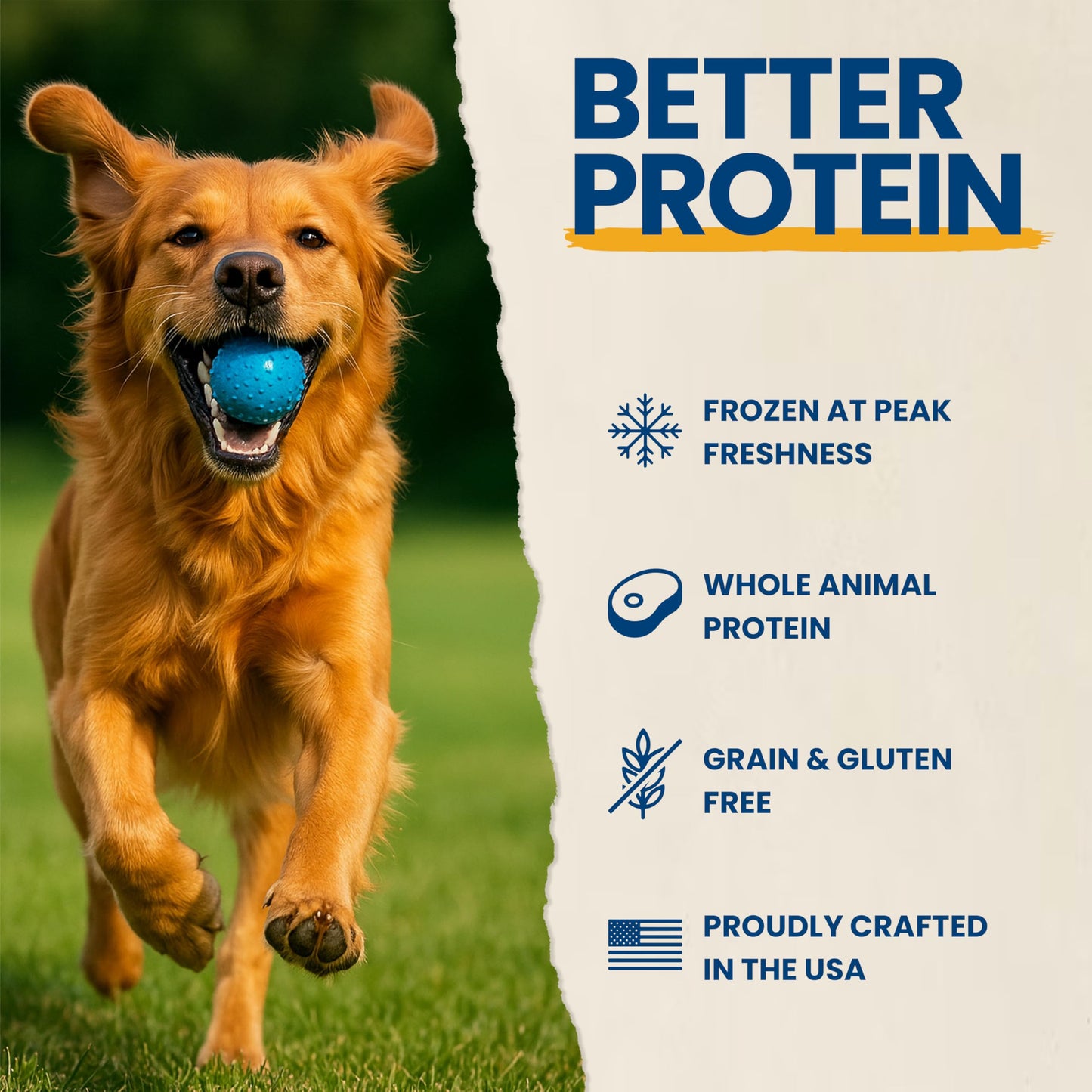 Brightway Pets Primal Protein Bites – Freeze Dried Raw Chicken Dog Treats | High Protein, Cage-Free Chicken & Liver | Made in USA, Grain-Free, All-Natural | Training Treats Meal Topper