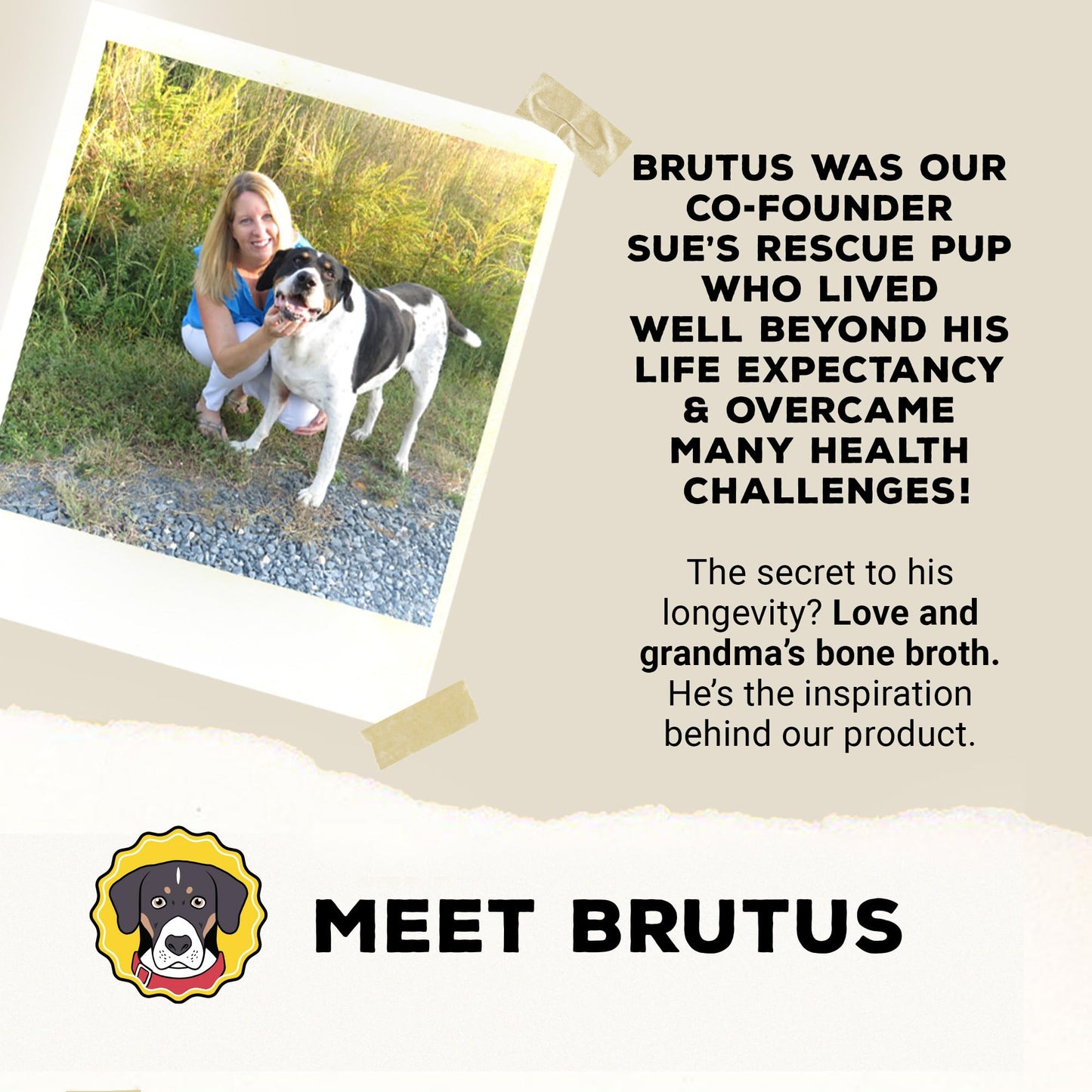Brutus Broth Instant On The Go Vegetable Powder for Dogs - Vegetable Powder with Omegas 3, 6 & 9 & Turmeric - Human Grade Food Toppers for Dry Food & Picky Eaters - 5 Stick (Salmon Flavor)