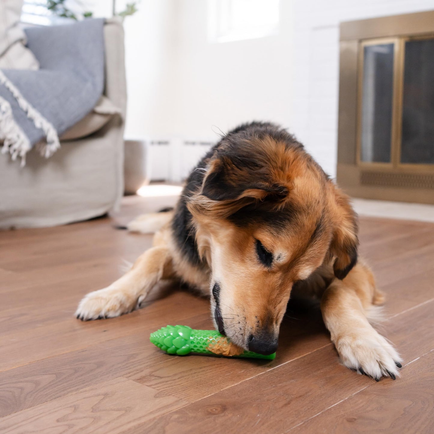 Outward Hound Asparagus Interactive Treat-Dispensing Dog Toy, Medium, Green
