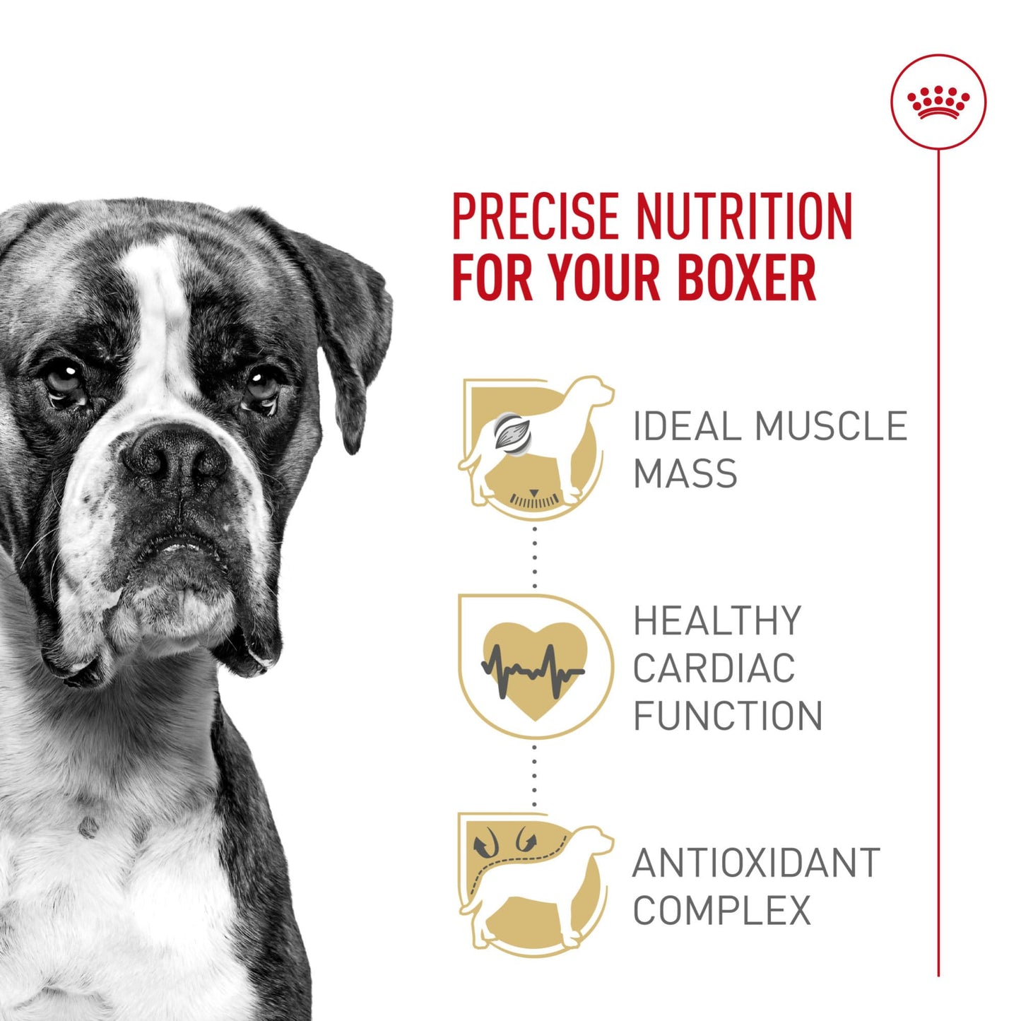 Royal Canin Boxer Adult Dry Dog Food, 30 lb bag