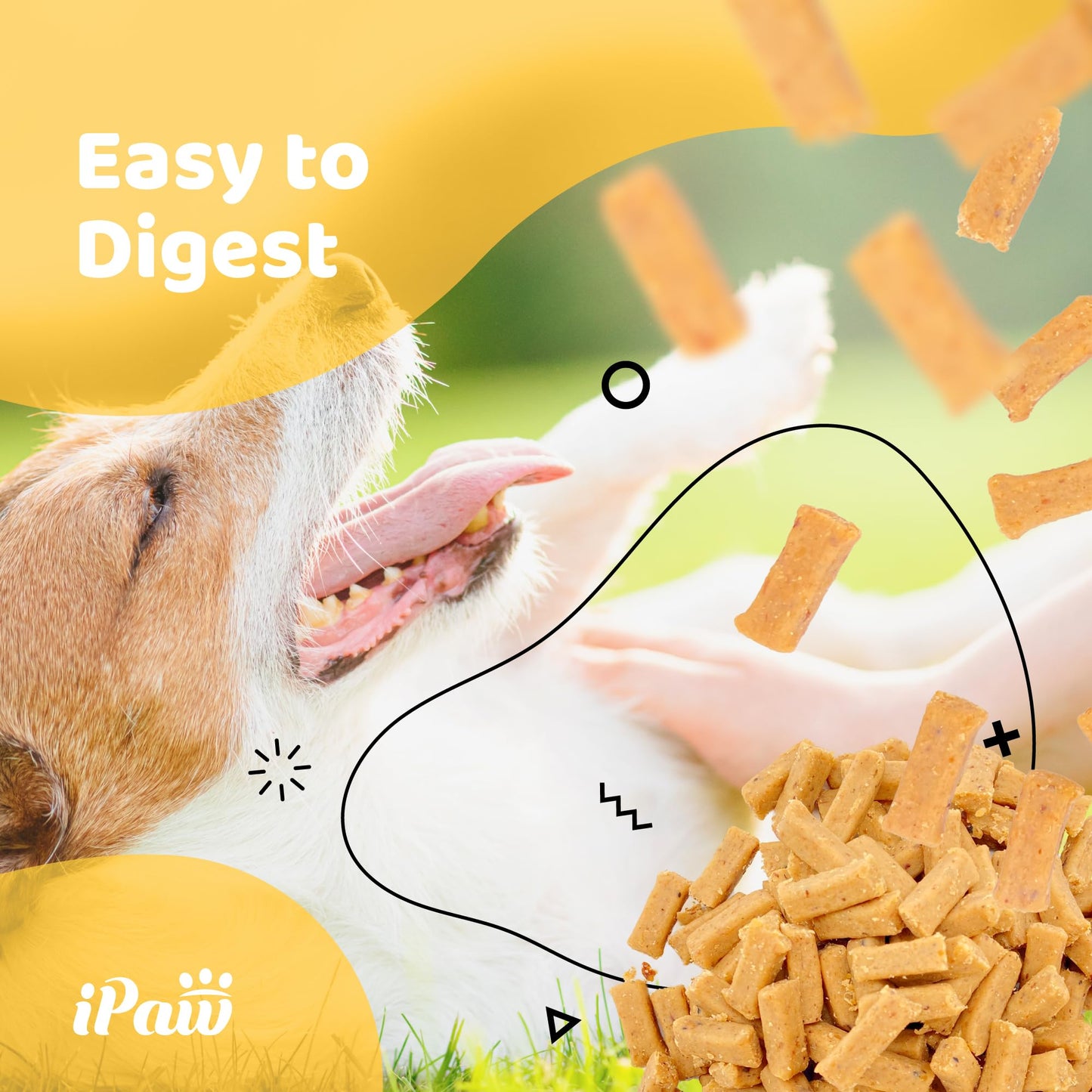 iPaw Dog Treats for Puppy Training, All Natural Human Grade Dog Treat, Hypoallergenic, Easy to Digest (Chicken and Cheese Bites)