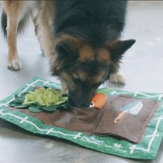 Outward Hound by Nina Ottosson Activity Matz Garden Game Plush Dog Puzzle Mat Dog Enrichment Dog Toy, Level 2 Intermediate, Multicolored