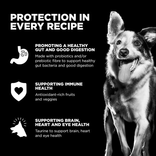 Go! Solutions Carnivore, Grain-Free, Protein Rich Dry Dog Food, Chicken, Turkey and Duck Puppy Recipe, Small Kibble, 3.5 lb Bag