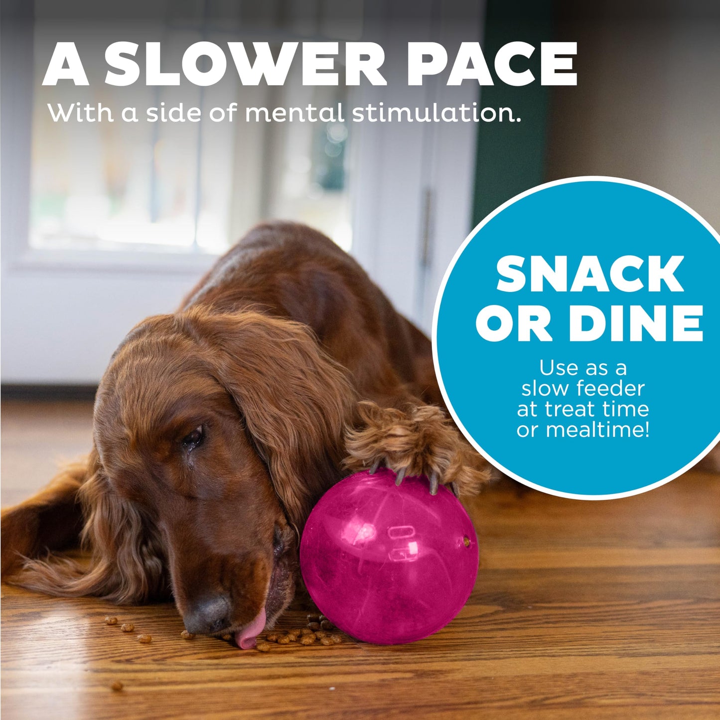 Outward Hound Orbee-Tuff Mazee Interactive Dog Puzzle Toy, Treat Dispensing Slow Feeder Ball, Pink, 4.7-Inch