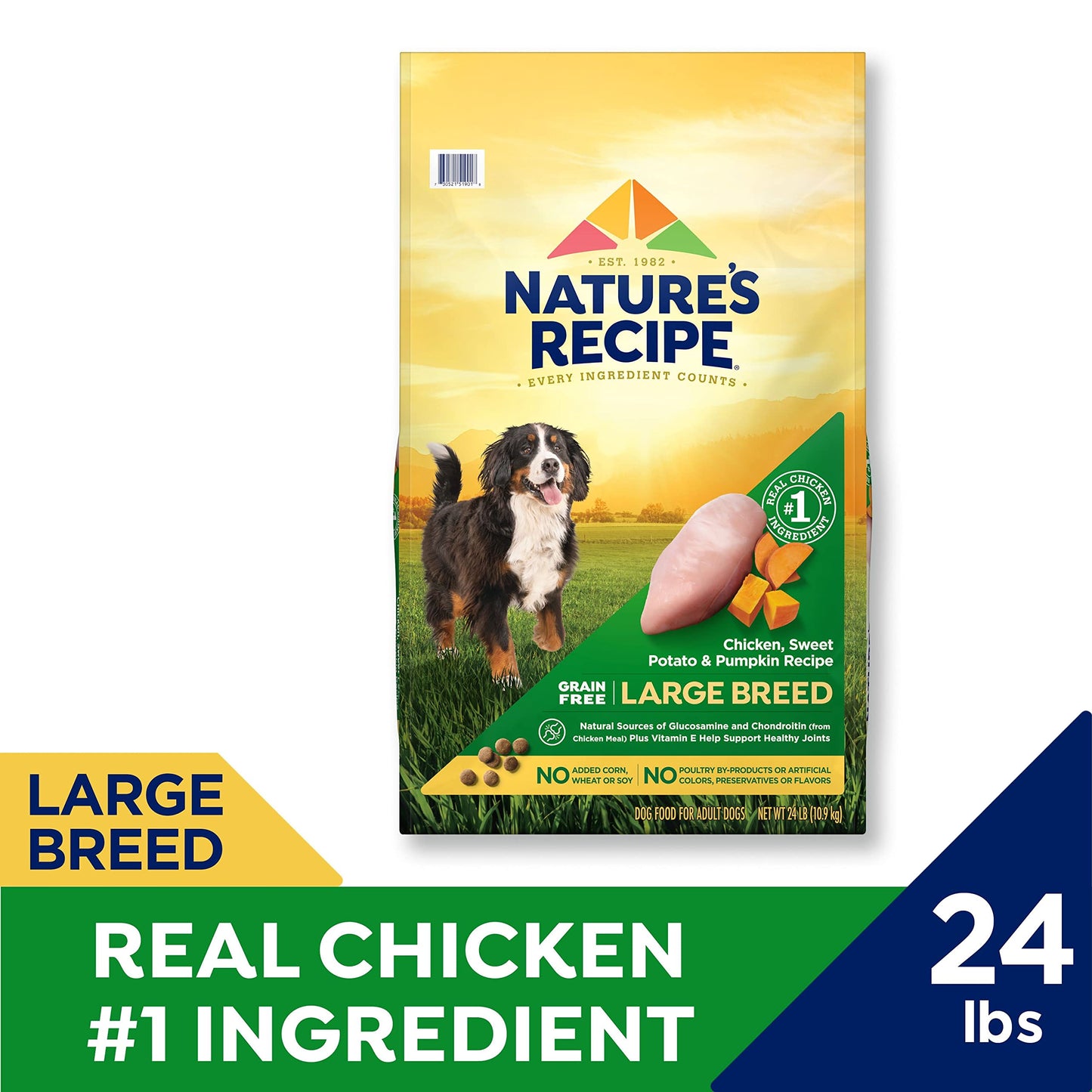 Nature’s Recipe Grain Free Large Breed Chicken, Sweet Potato & Pumpkin Recipe Dry Dog Food, 24 lb. Bag